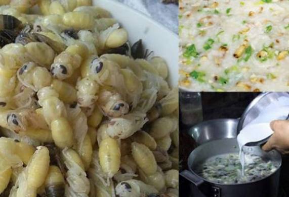 Nhộng ong là gì? Giá trị dinh dưỡng từ nhộng ong bạn không thể bỏ qua