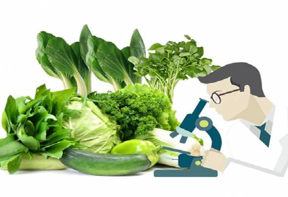 Tìm hiểu về chứng nhận kiểm dịch thực vật 