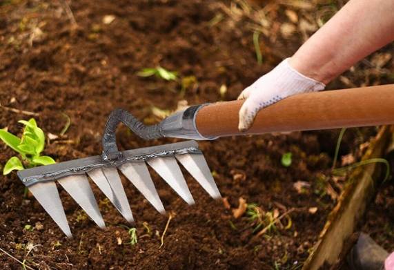 Lưỡi cào cỏ đa năng – Công dụng, cấu tạo và cách sử dụng