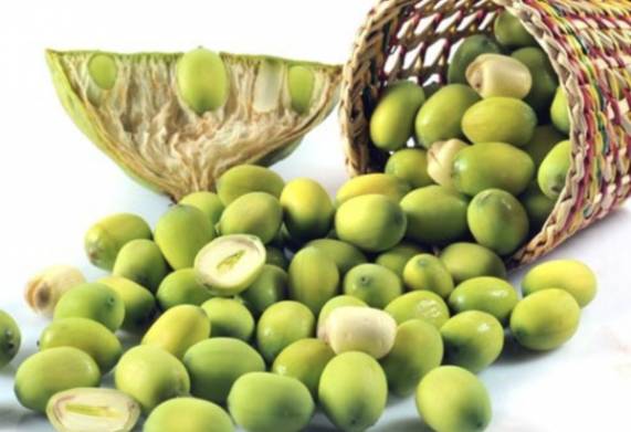Tìm hiểu những lợi ích dinh dưỡng từ hạt sen tươi