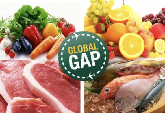 Chứng nhận Global gap: những tiêu chuẩn và những điều bạn cần biết về global gap 
