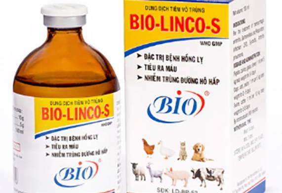 Gợi ý các loại thuốc trị bệnh hồng lỵ ở heo hiệu quả