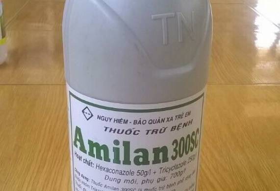 Tìm hiểu các loại thuốc trị bệnh nấm hồng trên cây cà phê hiệu quả