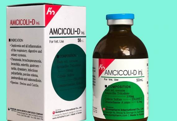 Gợi ý các loại thuốc điều trị bệnh sưng phù đầu ở lợn con hiệu quả