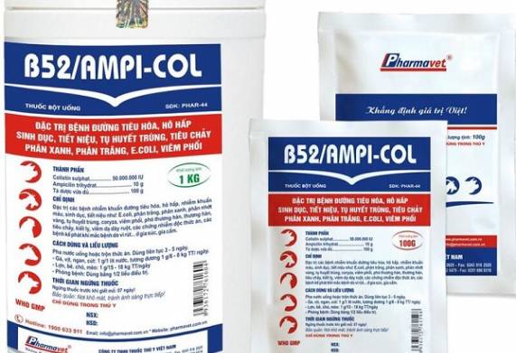 Các loại thuốc trị bệnh tiêu chảy ở lợn thịt hiệu quả 
