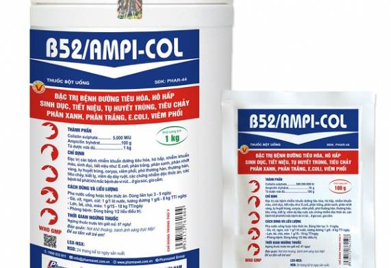 Tham khảo một số loại thuốc trị bệnh tiêu chảy ở lợn thịt hiệu quả