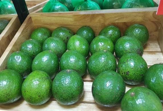 Thương vụ xuất khẩu bơ tươi sang thị trường Hà Lan và Đức