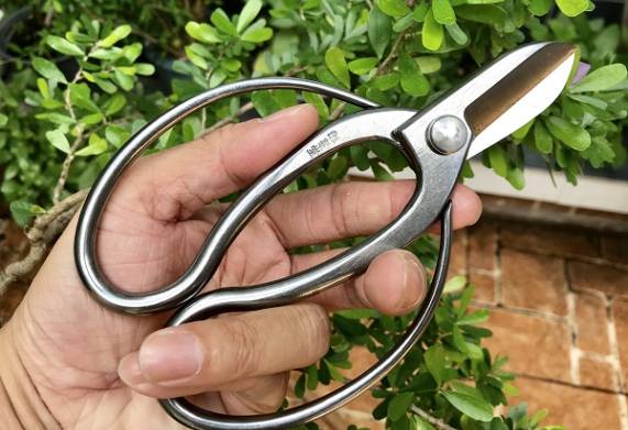 Bộ dụng cụ cắt tỉa cây cảnh gồm những gì? 