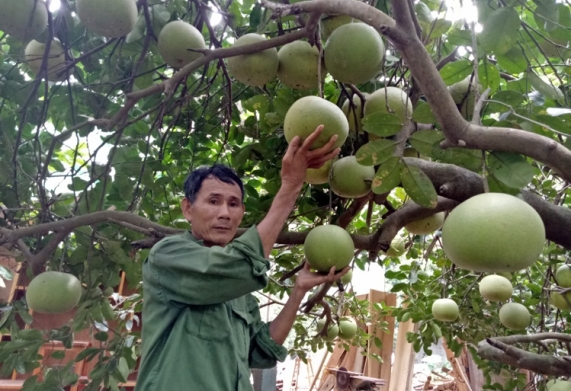 Con đường khởi nghiệp từ hai bàn tay trắng vươn lên làm giàu của thương binh Nguyễn Văn Phương