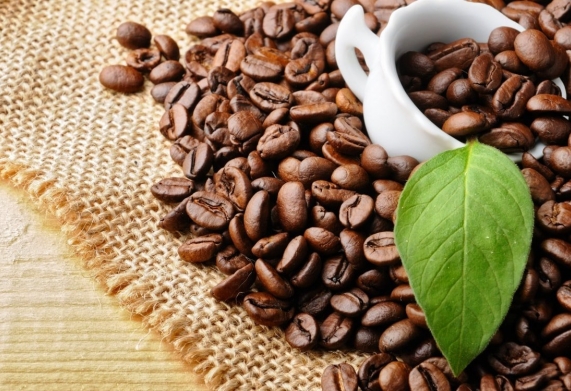 Giá cà phê hôm nay 4/1: Tiếp đà đi xuống trên thị trường thế giới, giá nội địa ổn định