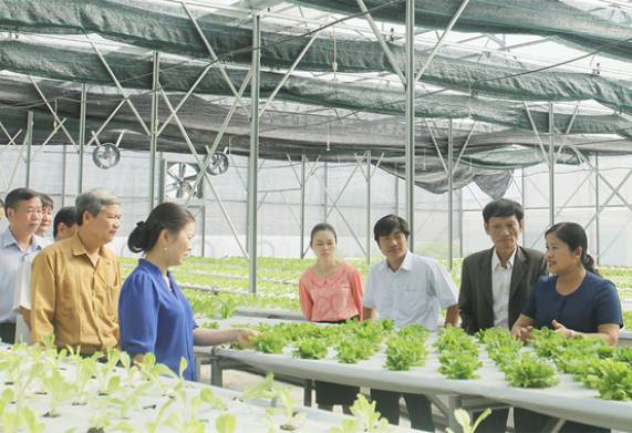 Khám phá các mô hình kinh tế nông nghiệp hiệu quả