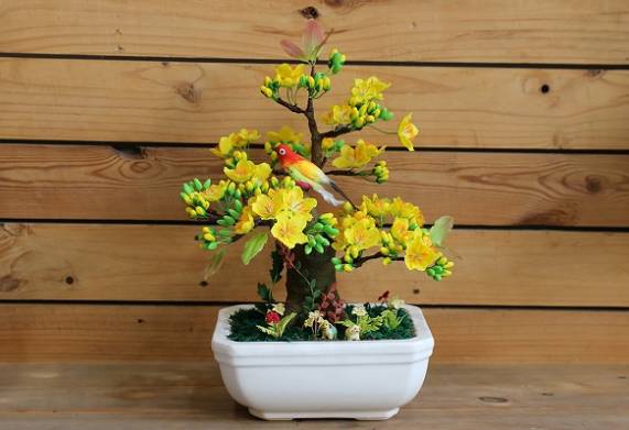 Cách chọn cây mai vàng đẹp để chưng tết rước tài lộc vào nhà
