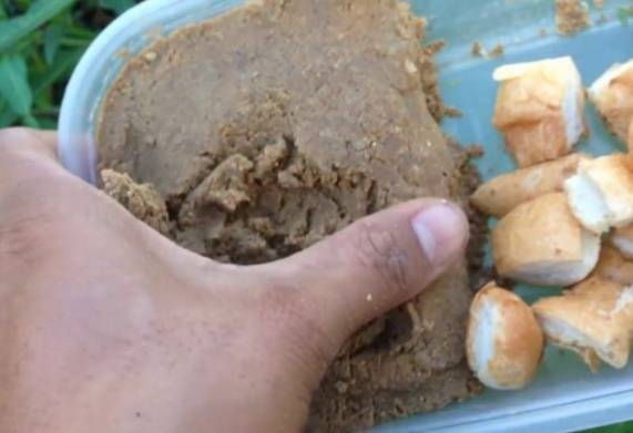 Bật mí cách làm mồi câu cá tra sông cực nhạy 