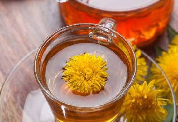 Cách nấu nước cây bồ công anh tốt cho sức khỏe 
