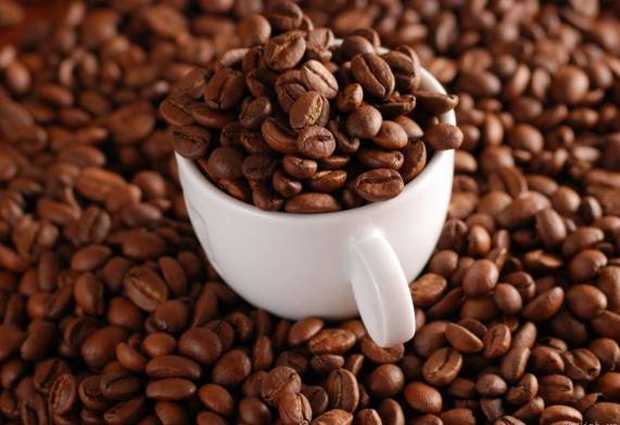 Cơ hội hợp tác với doanh nghiệp tại Maroc cho đơn hàng nhập khẩu hạt cà phê