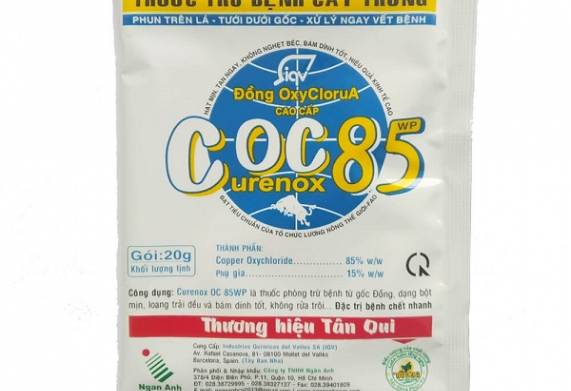 Các loại thuốc phòng trị cây cảnh bị nấm trắng hiệu quả