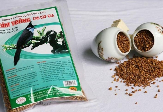 Chế độ dinh dưỡng cho chào mào qua từng giai đoạn phát triển