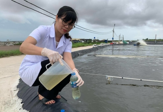 Sáng chế chế phẩm làm sạch nước cho ao nuôi tôm cá từ nữ Tiến sĩ Việt Nam