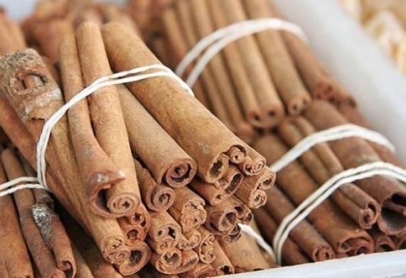 Cây quế bóc vỏ có chết không? 