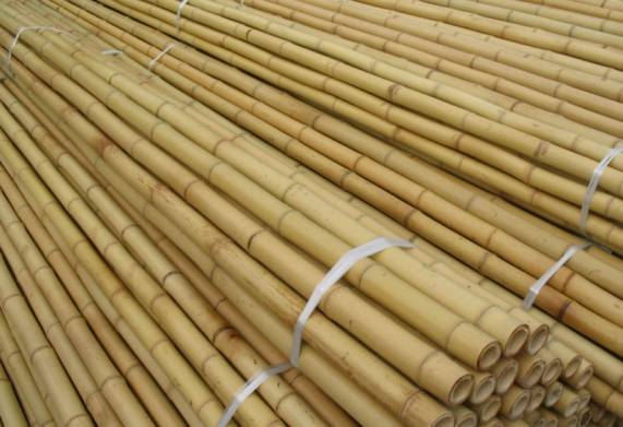 Cơ hội giao thương xuất khẩu gậy tre sang thị trường Tây Ban Nha