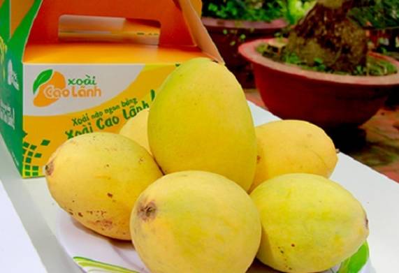 Top những món đặc sản Cao Lãnh ngon trứ danh