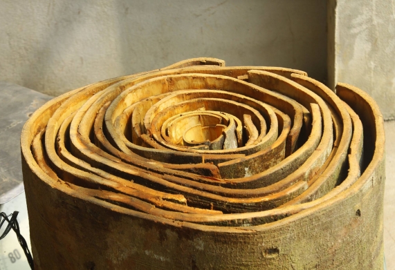 Quế vỏ Vân Yên - Đặc sản mang nhiều nét văn hóa dân tộc Dao ở Yên Bái