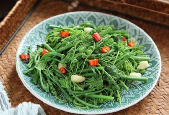 Đặc sản Tam Đảo ngọn su su - món ăn dân dã gây thương nhớ 
