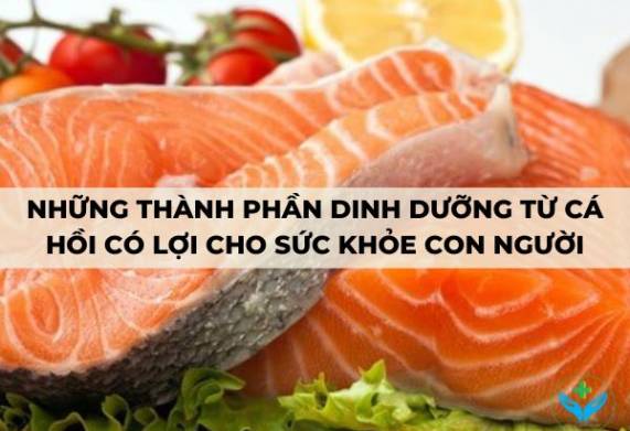 Những thành phần dinh dưỡng từ cá hồi có lợi cho sức khỏe con người