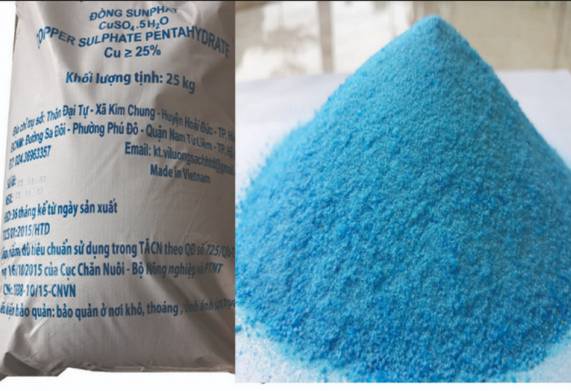 Thuốc bảo vệ thực vật Đồng Sunfat CuSO4.5H2O - thành phần, công dụng, cách sử dụng