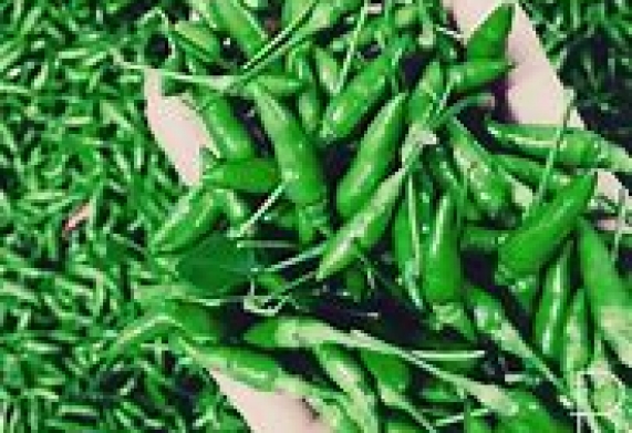 Thương vụ xuất khẩu ớt số lượng lớn sang thị trường Oman