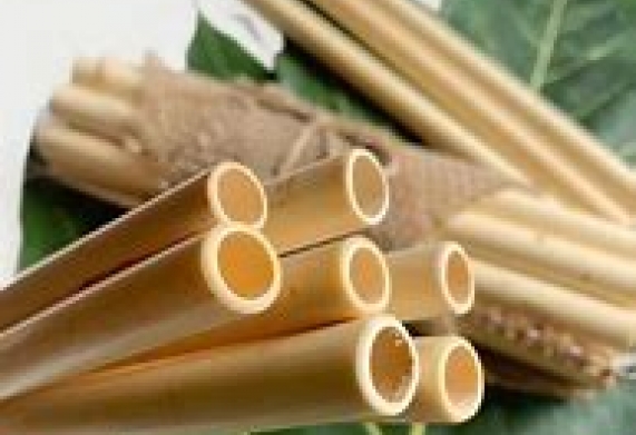 Cơ hội hợp tác xuất khẩu 4 triệu ống hút tre sang thị trường Hy Lạp