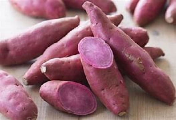 Cơ hội hợp tác với doanh nghiệp tại UAE cho đơn hàng xuất khẩu khoai lang