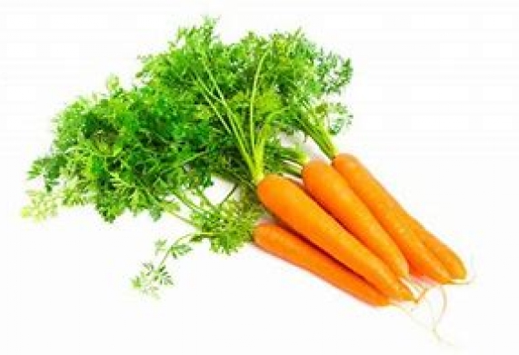 Thương vụ hợp tác với doanh nghiệp UAE cho đơn hàng xuất khẩu cà rốt