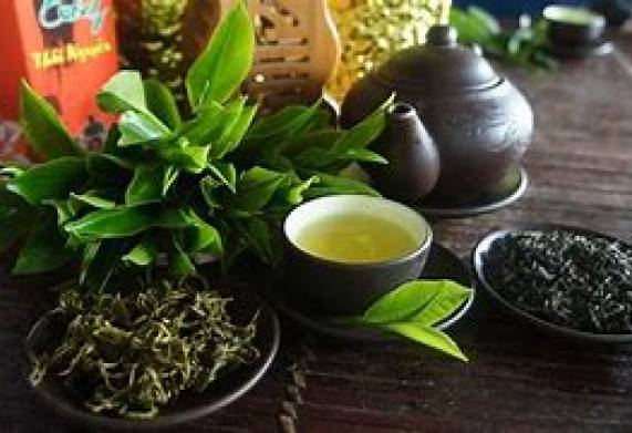 Thương vụ hợp tác với doanh nghiệp Ấn Độ cho đơn hàng xuất khẩu chè xanh và chè đen