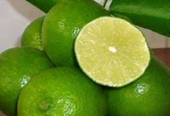 Cơ hội hợp tác với doanh nghiệp tại Hồng Kông cho đơn hàng chanh tươi