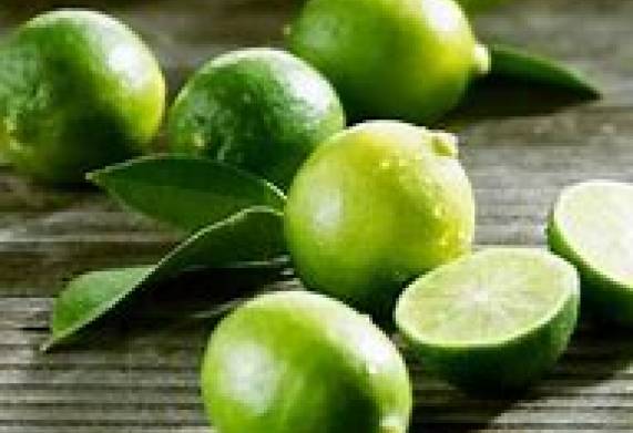 Cơ hội giao thương cung cấp sản phẩm chanh xanh sang thị trường Hoa Kỳ