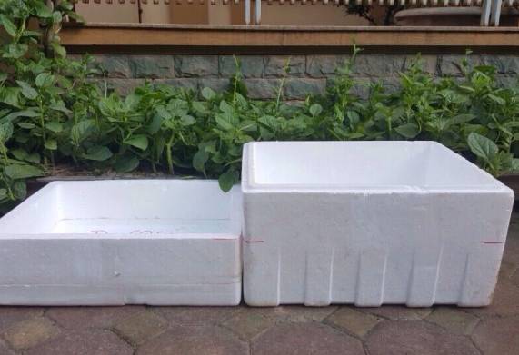 Các dụng cụ trồng rau sạch tại nhà cần thiết 