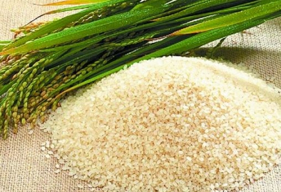 Đặc sản gạo nếp nương Điện Biên