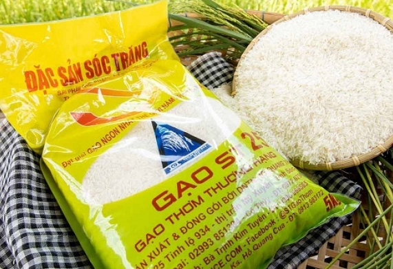 Tham khảo giá gạo hiện nay