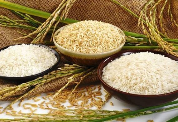 Giá lúa gạo hôm nay [ngày 29/11/2022]: có sự điều chỉnh tăng 
