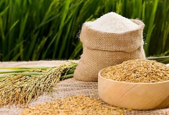 Giá lúa gạo hôm nay [07/12/2022]: Thị trường trong nước vẫn ổn định