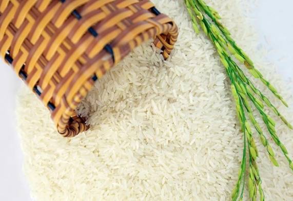 Giá lúa gạo mới nhất [cập nhật ngày 4/11]- tiếp tục đi ngang 