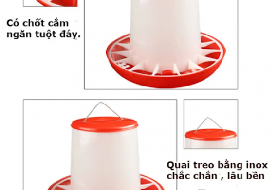 Giá máng ăn chống bới cho gà con