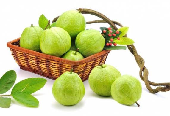 Giá ổi bao nhiêu 1kg? Tổng hợp các loại ổi ngon được ưa chuộng hiện nay