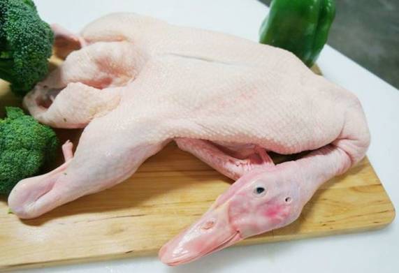 Tham khảo giá vịt hiện nay