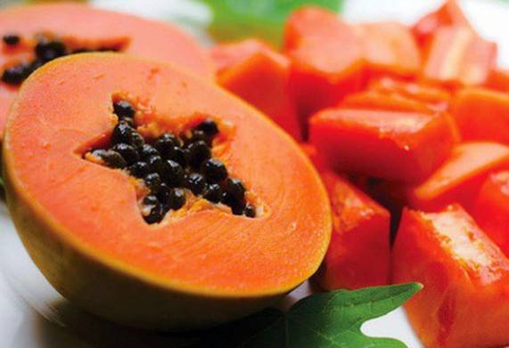 Giống đu đủ nào ngon nhất hiện nay? Gọi tên 3 giống đu đủ có vị ngon bậc nhất