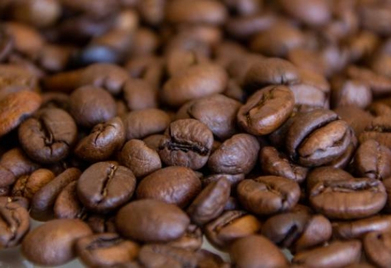 Cà phê arabica