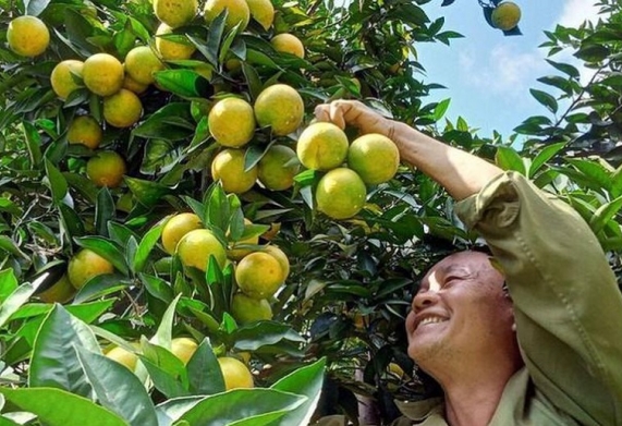 Sắp ra mắt Cổng thông tin điện tử hỗ trợ hộ sản xuất nông nghiệp