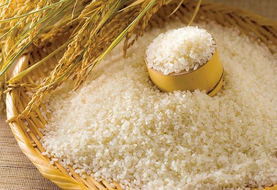 Thương vụ xuất khẩu gạo đến từ vị khách hàng người Đức