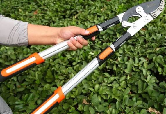 Kéo bấm cành trên cao: Công dụng, cấu tạo và hướng dẫn sử dụng